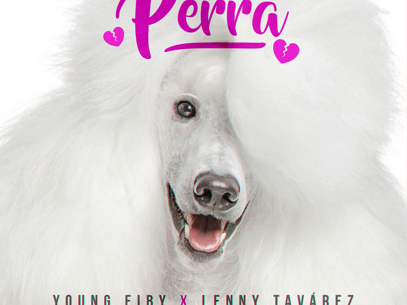 Perra (Single)