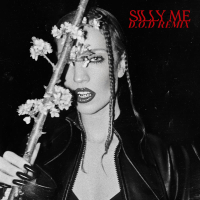Silly Me (D.O.D Remix) (Single)