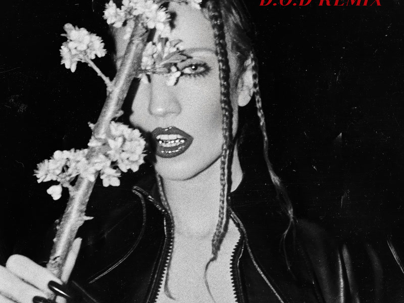 Silly Me (D.O.D Remix) (Single)