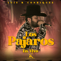 Los Pajaros (En Vivo) (Single)