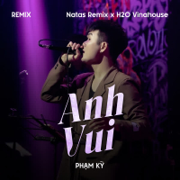 Anh Vui (Remix) (Single)