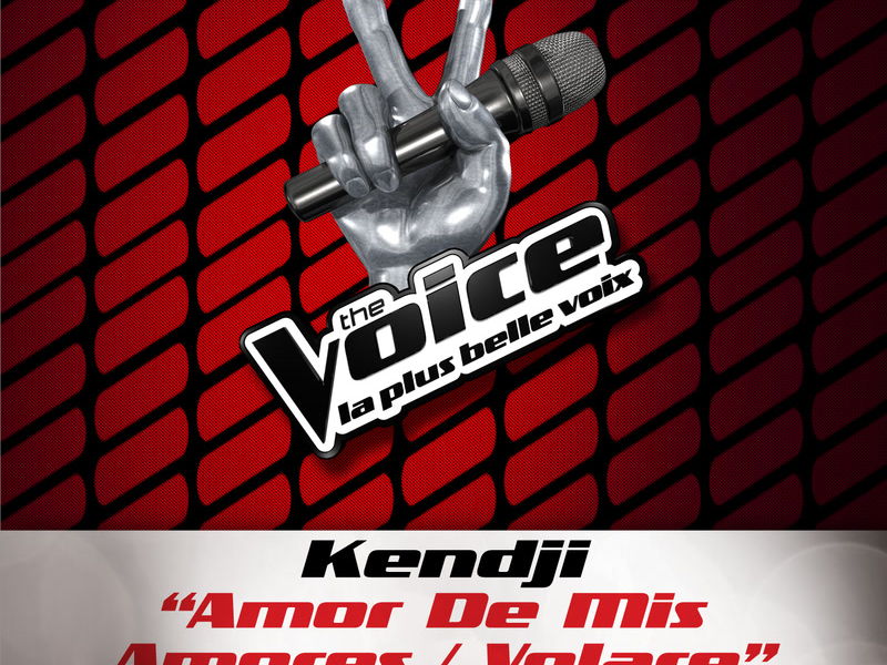 Amor De Mis Amores / Volare - The Voice 3 (Single)