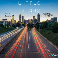 Little Things (Single)