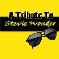 A Tribute To Stevie Wonder