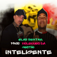 Ela Senta Pros Moleques da Gestão Inteligente (Single)