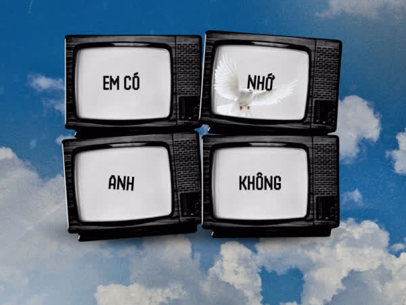 Em Có Nhớ Anh Không (NB x NVT Remix) (Single)