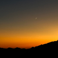 for the moon (Single)