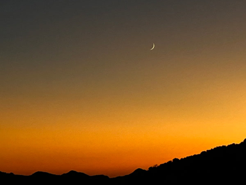 for the moon (Single)