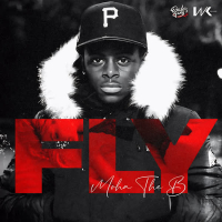 Fly (Single)