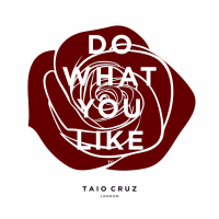 Do What You Like (Single)