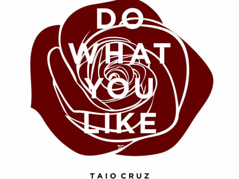 Do What You Like (Single)