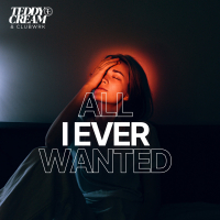 All I Ever Wanted (Single)