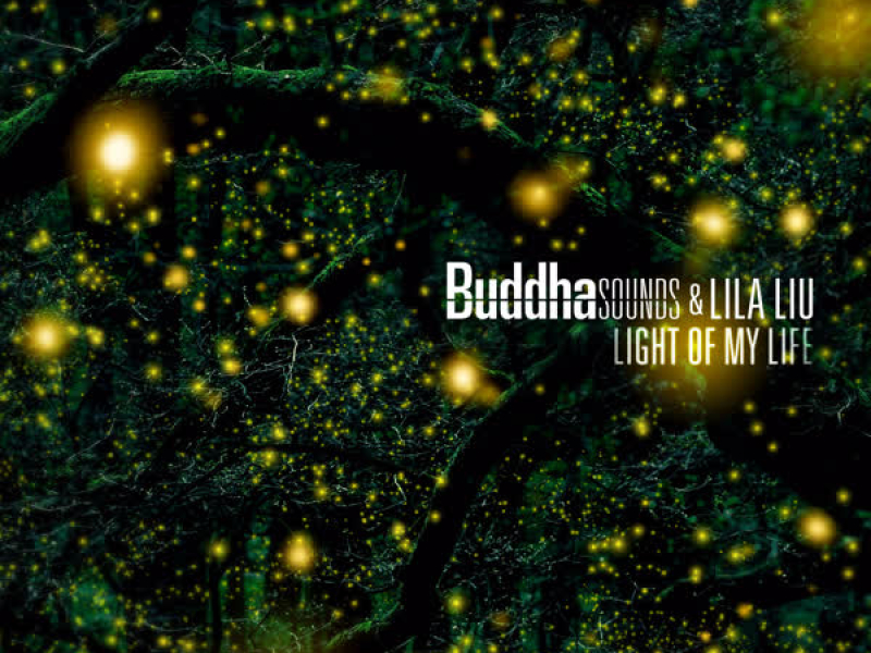 Light of My Life (Single)