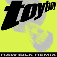 Toy Boy (RAW SILK Remix) (Single)