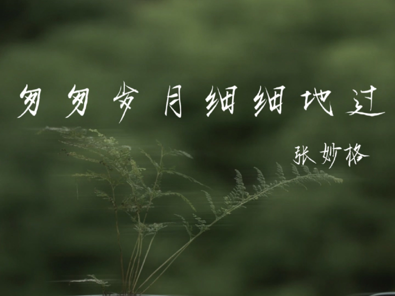 匆匆岁月细细地过 (Single)