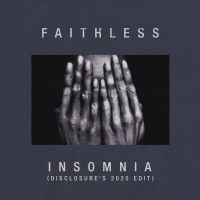 Insomnia (Disclosure's 2025 Edit) (Single)