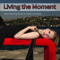 Living the Moment: Deep Relaxing Music for Sleep and Relax (Single)