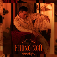 Đêm Nay Không Ngủ (Single)