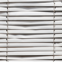 Still the same (Single)