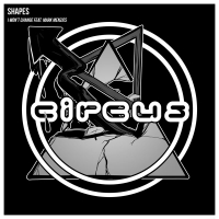 I Won't Change (Single)