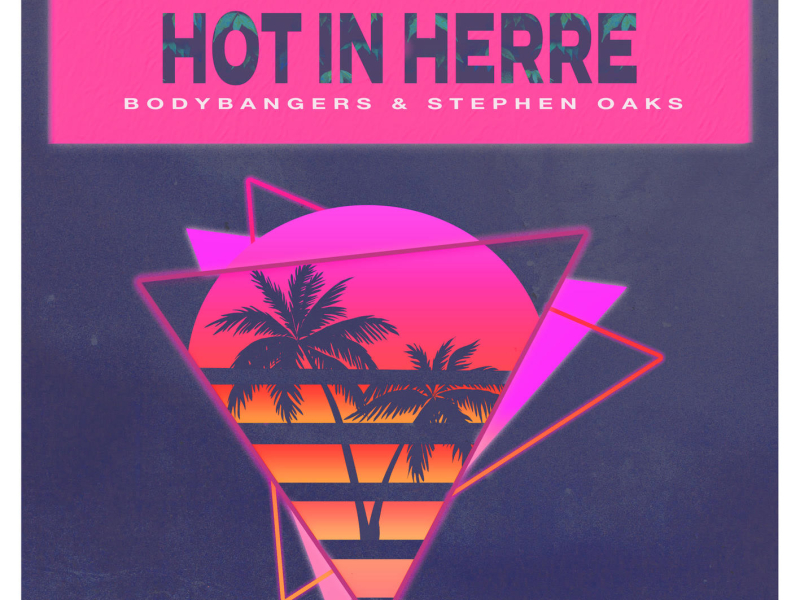 Hot In Herre (Single)