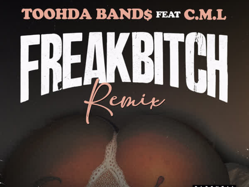 Freak Bitch (Remix) (Single)