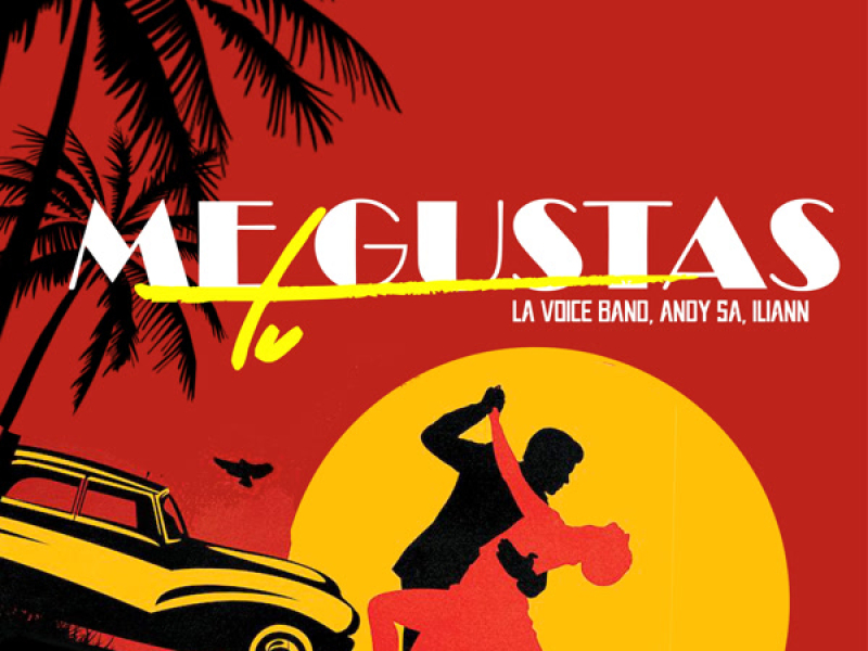 ME GUSTAS TU (Single)