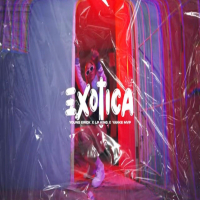 Exotica (Single)