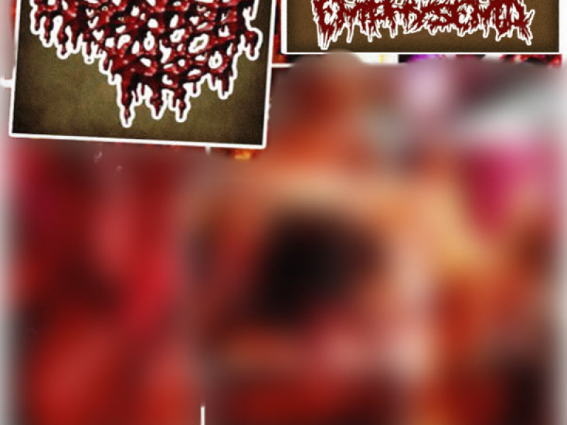 Disgorgement of the Decomposition of Mankind (Single)