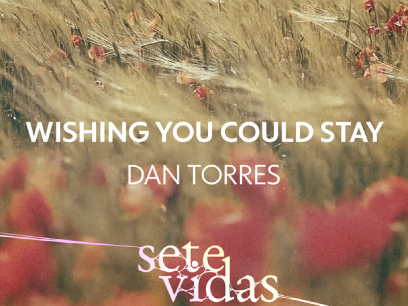 Wishing You Could Stay (Single)
