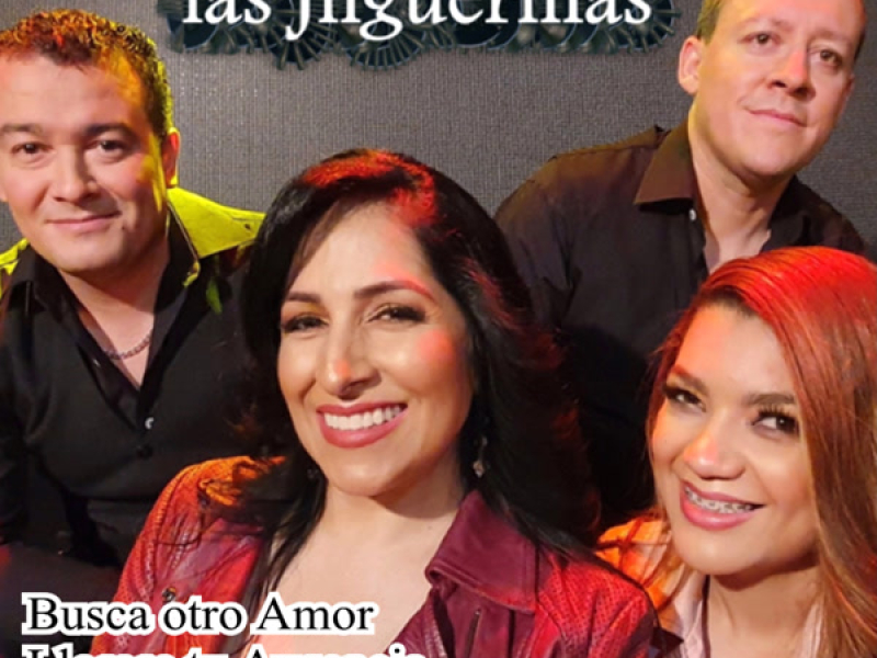 Mosaico las Jilguerillas: Busca Otro Amor / Llorare Tu Ausencia / Madre Abandonada (Single)