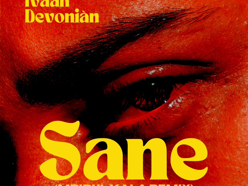 Sane (Mridul Kala Remix) (Single)