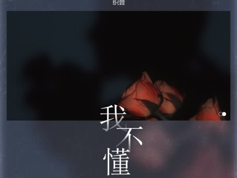 我不懂 (Single)
