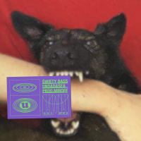 BURSZTYNOWY FLEX (Single)