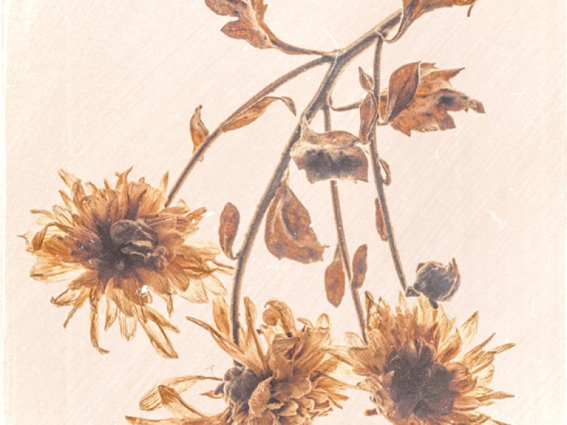 Time Passes By (Single)