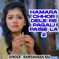 Hamara Chhor Dele Re Pagali Paise La 2 (Single)