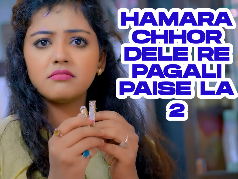 Hamara Chhor Dele Re Pagali Paise La 2 (Single)