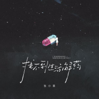 找不到生活解药 (Single)