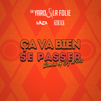 Ça va bien se passer (DJ Wiils Remix) (Single)
