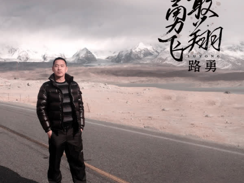 勇敢飞翔 (伴奏) (Single)