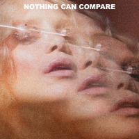 Nothing Can Compare (Single)