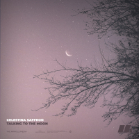 Talking To The Moon (Single)