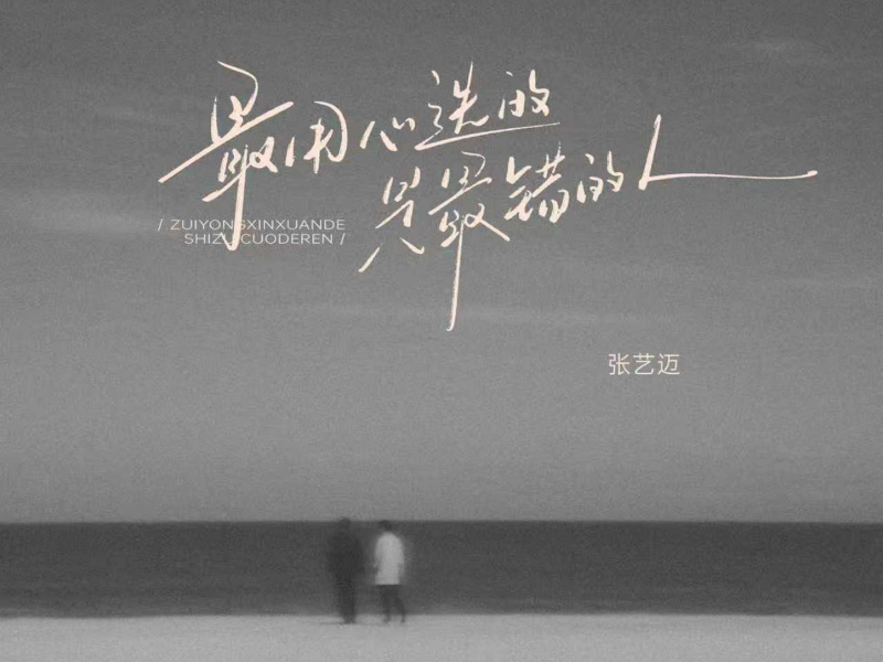 最用心选的是最错的人 (Single)