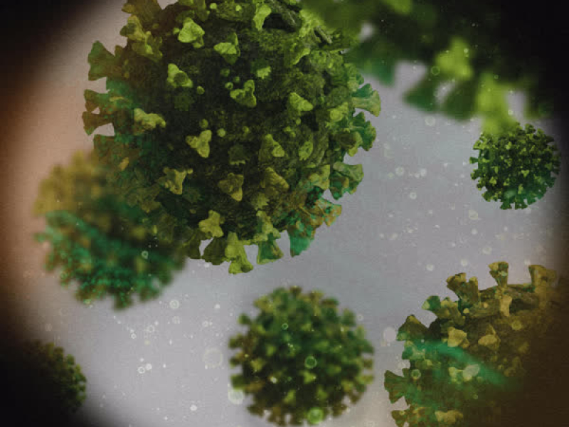 La Enfermedad (Single)