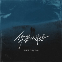 你爱过我吗 (DJAx祥版) (Single)