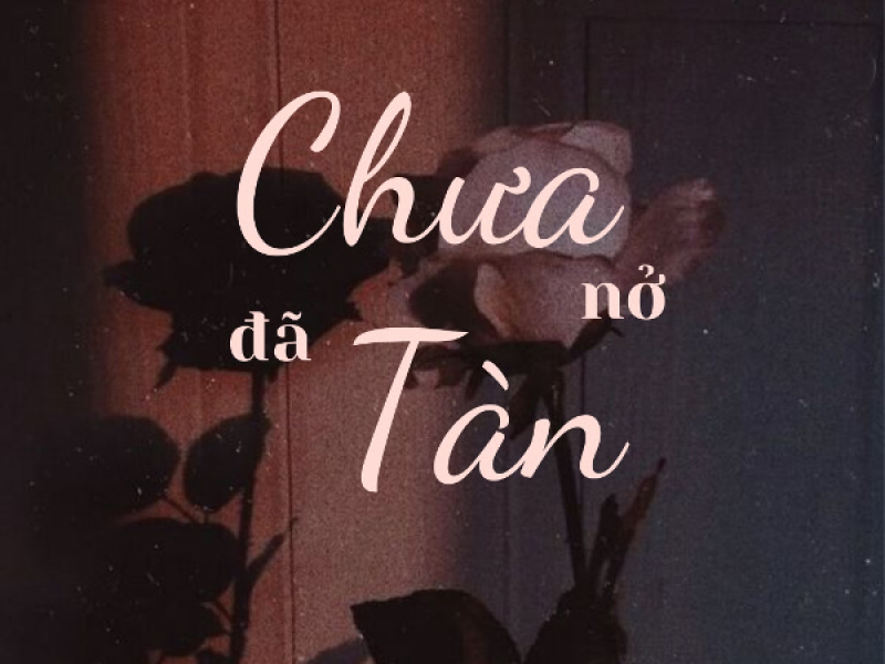 Chưa Nở Đã Tàn (Single)