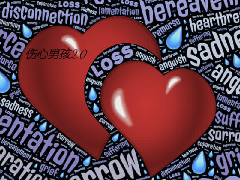 悲伤男孩2.0 (Single)