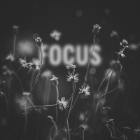 Focus (Single)