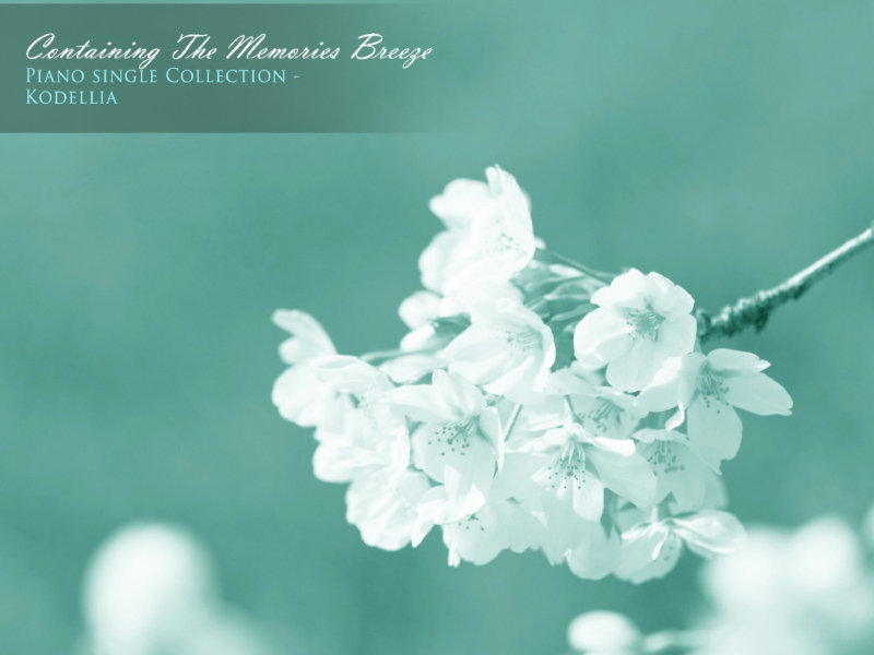 Spring Breeze With Memories (Single)