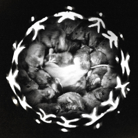 IN CERCHIO. (Single)